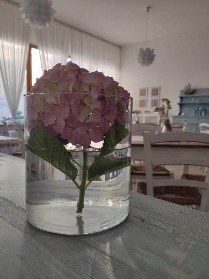 Hotel Imperia Marciana Marina  Zewnętrze zdjęcie